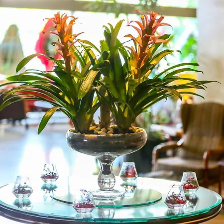 Buyukhanli Park 4* 앙카라